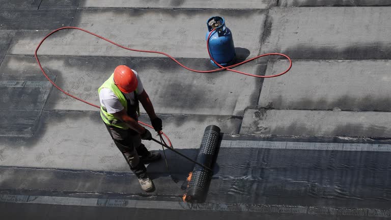 Best Basement Insulation  in Kahului, HI